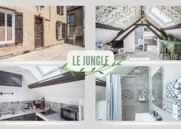 Le Jungle - Oasis Climatisee - Stationnement Public Gratuit